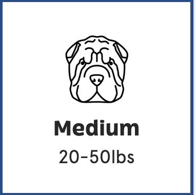 WechatIMG132 furbox for medium-sized dogs