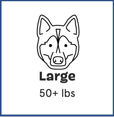 furbox for large dogs